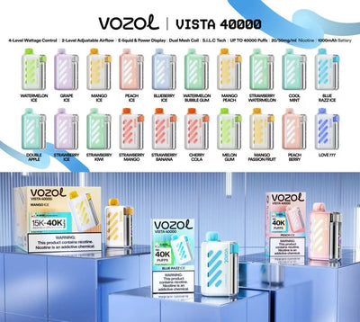 VOZOL VISTA smart screen disposable vape